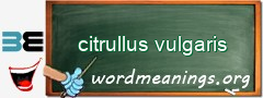 WordMeaning blackboard for citrullus vulgaris